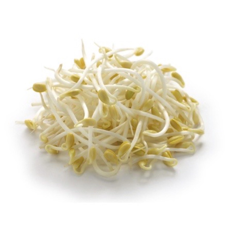 Giá đậu xanh túi 500g