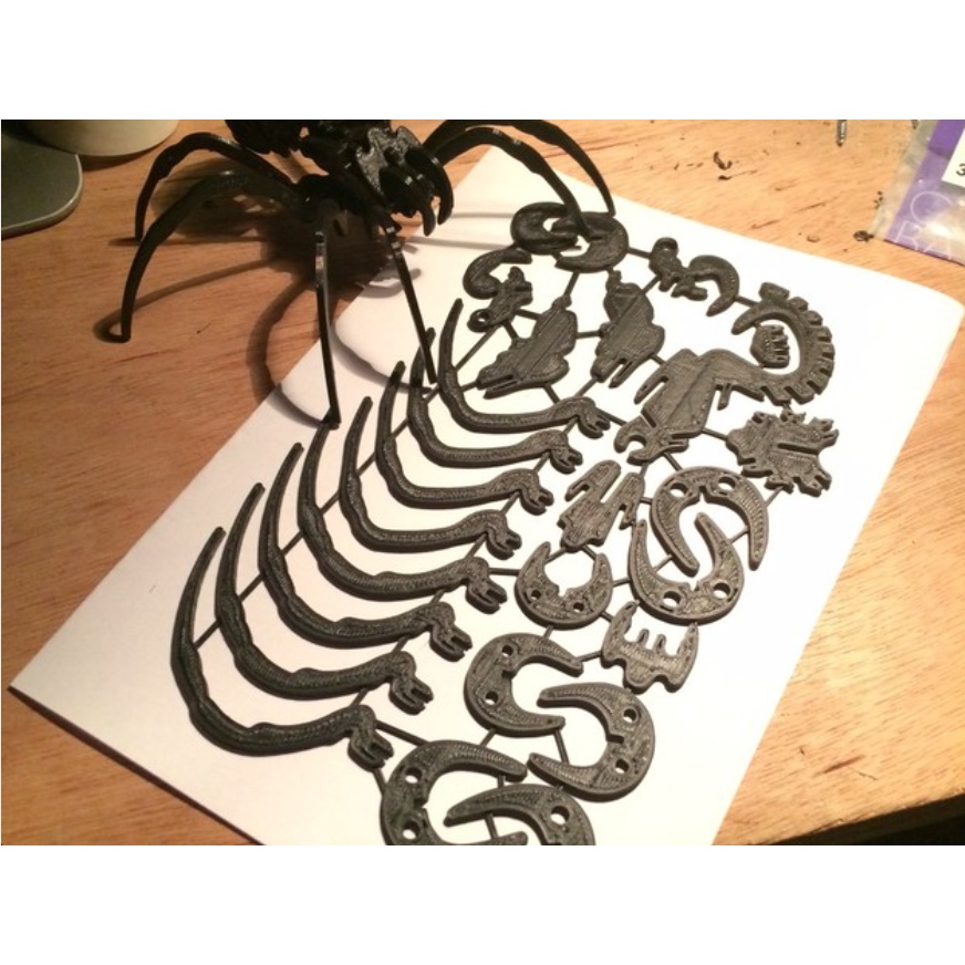 Kit mô hình con nhện