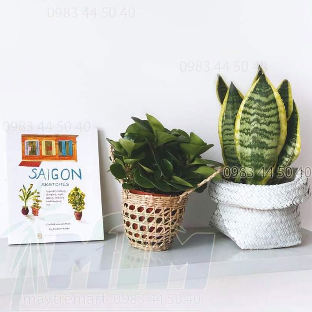 Giỏ cói quai xách, giỏ trồng cây