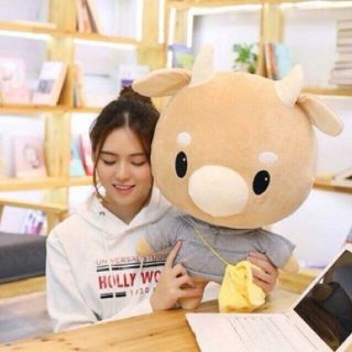GẤU BÔNG - BÒ CHĂM CHỈ 75CM siêu đẹp