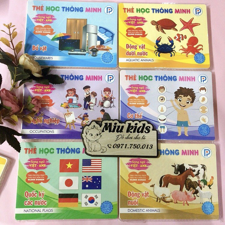 [TẶNG QUÀ 0] Thẻ học thông minh cho bé, flashcard 301 thẻ kích thước to 12x16cm, loại chuẩn glenn doman