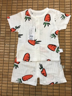 Bộ đùi cotton giấy siêu xinh