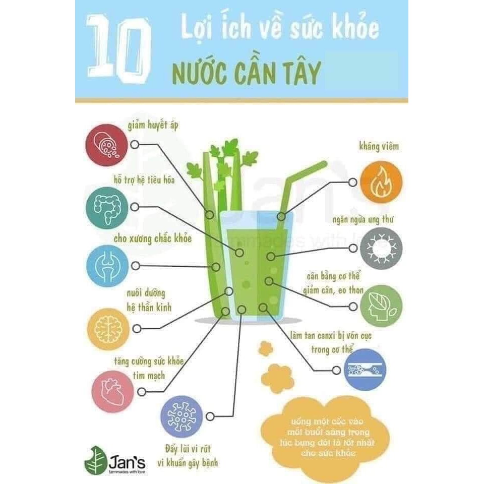 [HÀNG CHÍNH HÃNG] Bột cần tây  - Tinh chất cần tây diệp lục tảo xoắn nano slim detox | BigBuy360 - bigbuy360.vn