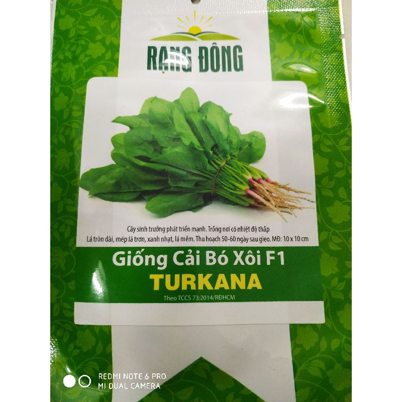 Hạt giống Cải bó xôi 5gr❤️FREESHIP XTRA❤️