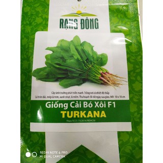 Hạt giống cải bó xôi 5gr❤️freeship xtra❤️