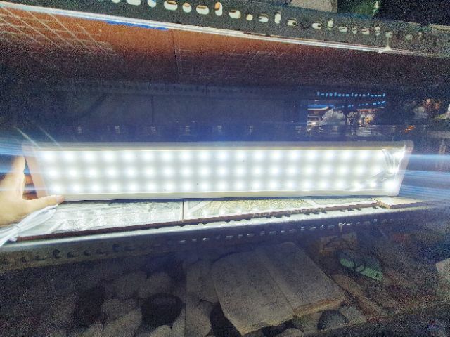 ĐÈN LED KẸP 2 BÊN HỒ CÁ MÀU TRẮNG VIPSUN 3 DÃY ĐÈN