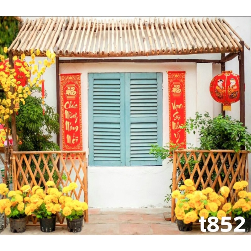 Phông nền chụp ảnh mã T852