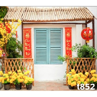 Phông nền chụp ảnh mã T852