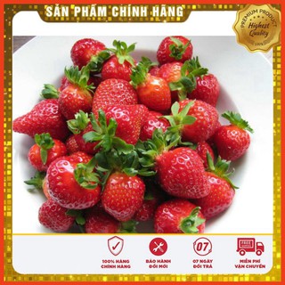 Hạt Giống Dâu Tây Đỏ QUẢ TO F1 (100 Hạt)