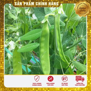 Hạt giống đậu Hà Lan - 50gr