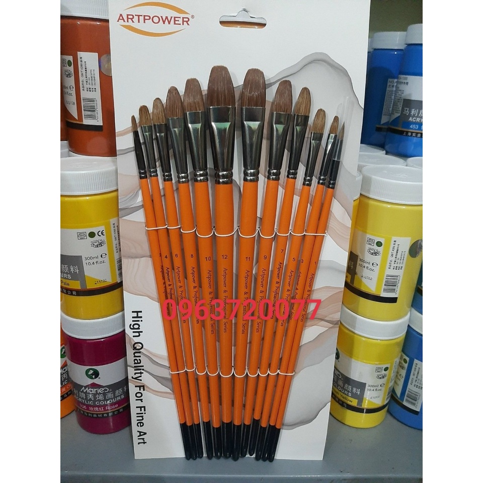 Cọ vẽ cán vàng, Cọ vẽ acrylic, màu nước, sơn dầu (Bộ gồm 12 cây trong đó 11 cây đầu ovanl, 1 cây cọ tỉa )