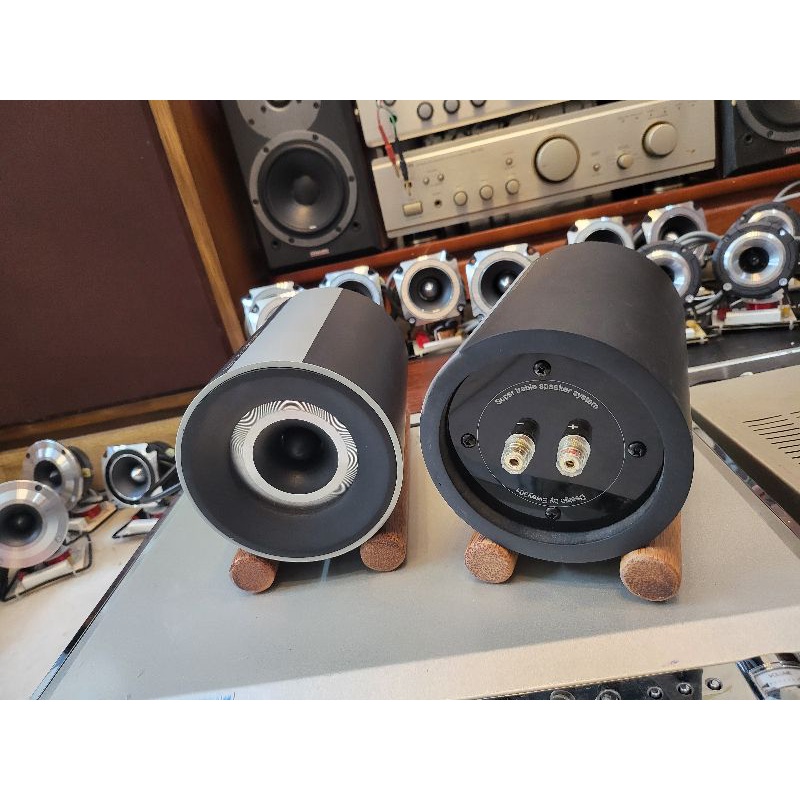 Cặp loa Super Treble Pioneer E2 được DIY tại Eway301