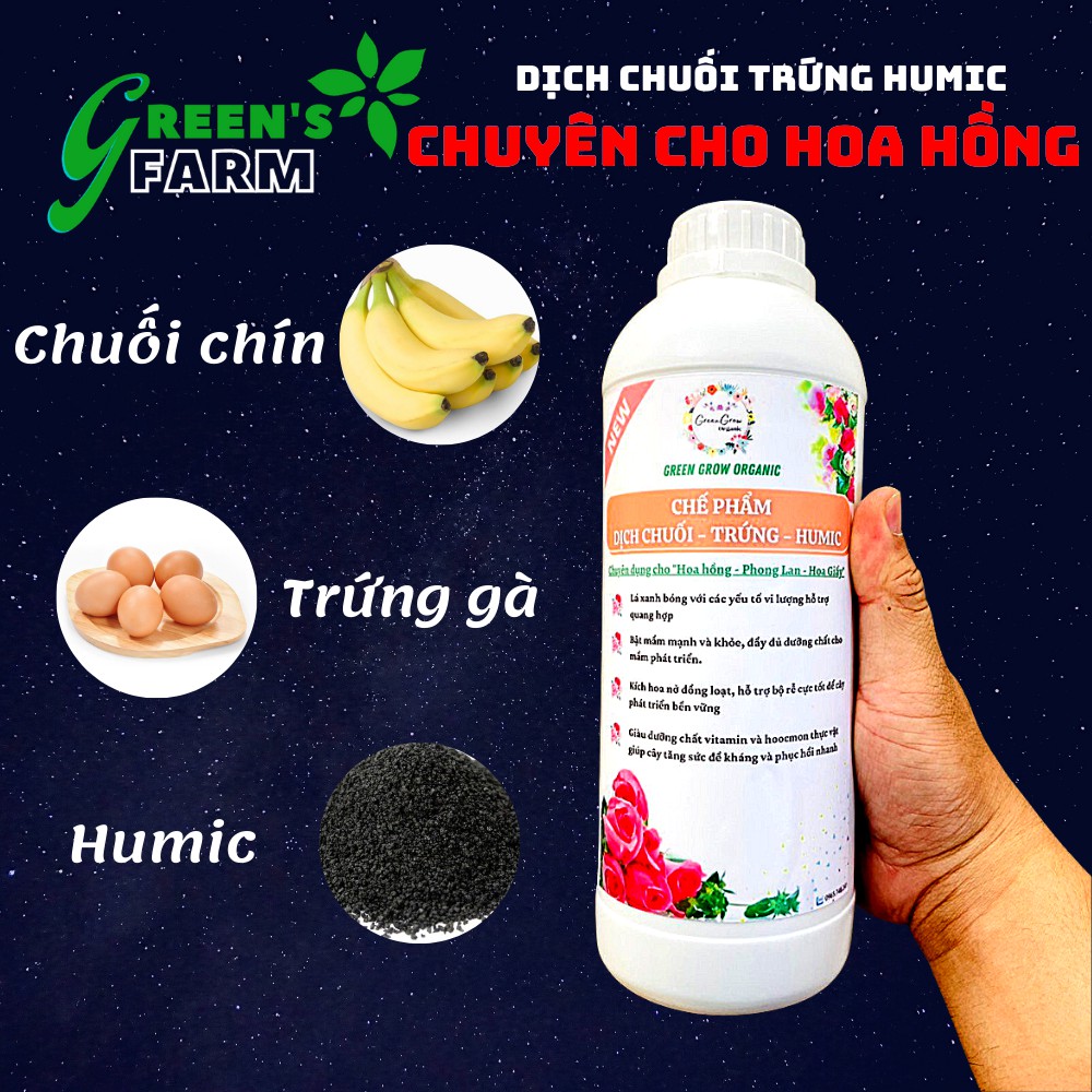 Dịch chuối trứng ủ cùng HUMIC lên men - Phân bón hữu cơ vi sinh bổ sung Kali gấp 5 lần - Kích hoa đồng loạt