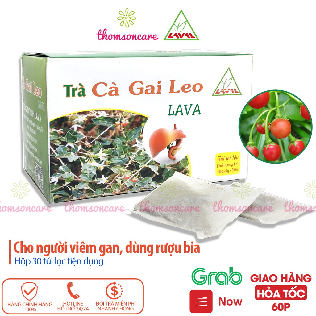 Trà cà gai leo Lava Hộp 30 gói túi lọc - hỗ trợ giải độc mát gan, bổ gan, giảm mệt mỏi