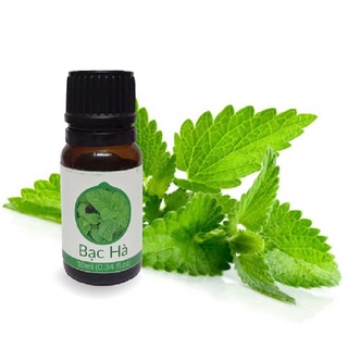 Tinh dầu bạc hà 10ml tinh dầu thiên nhiên tinh khiết