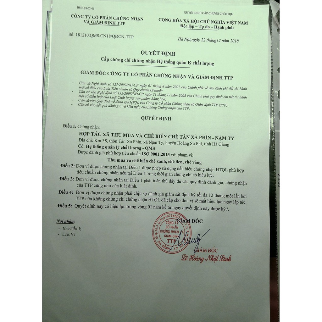 Trà mầm shan tuyết thượng hạng, loại trà cổ thụ ngon đặc sắc. Trà shan tuyết cổ thụ Hà Giang.200g