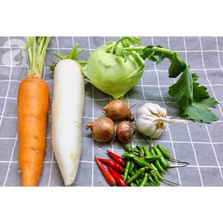 DEAL SÔC 1K Hạt giống củ cải muối dưa trồng thùng xốp