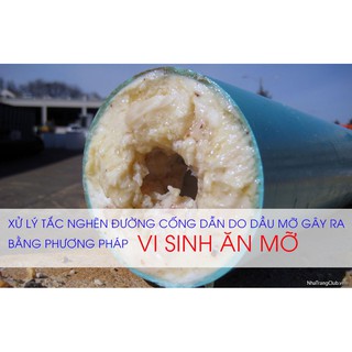 BỘT THÔNG CỐNG VMC