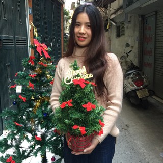 Cây thông noel mini để bàn đẹp 55cm