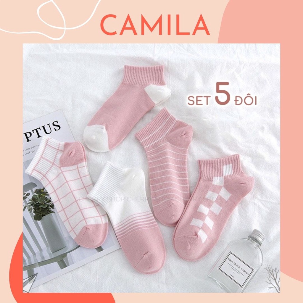 tất nữ cổ ngắn cute Hàn Quốc set 5 đôi hồng CAMILA T18