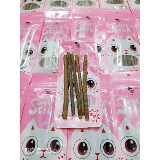 Cây gỗ bạc hà catnip cho mèo gặm giúp sạch răng thơm miệng