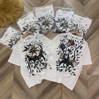 Phông dior