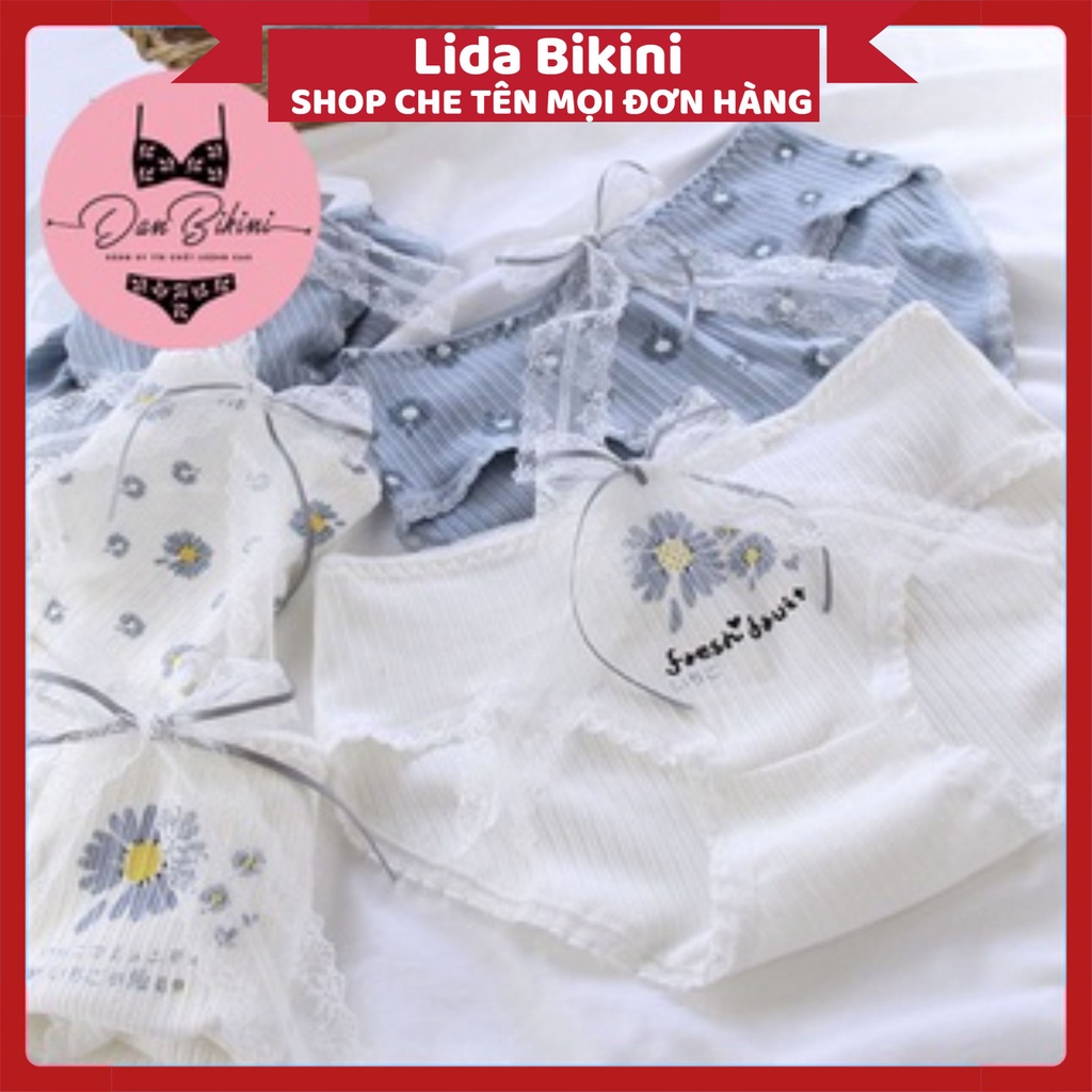 Quần Lót Nữ - Quần Lót thun phối hoa cúc thoáng mát, lên dáng,sexy DAN STORE MÃ 0127