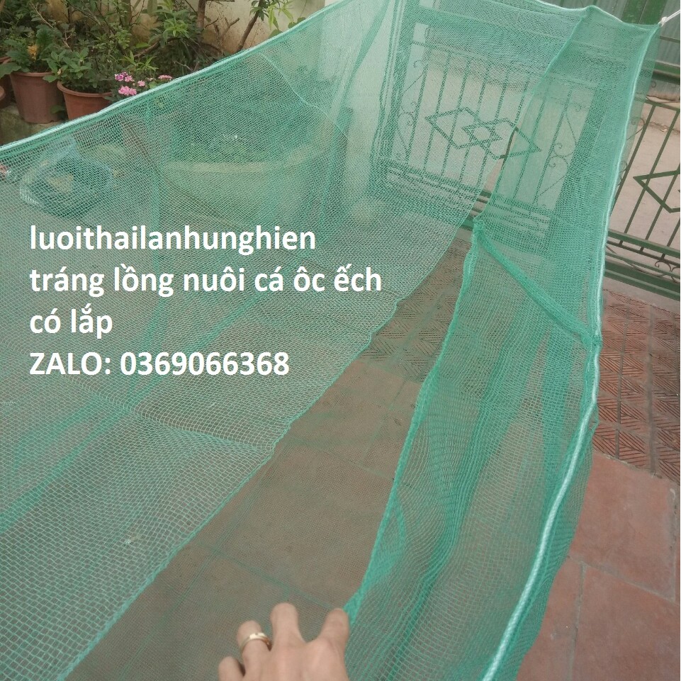 Tráng Nuôi Cá Xung Quanh 2ly đáy 5ly Size 5,5 x 4 x 2 Nuôi Cá Từ Nhỏ Tới To, Lưới Thái Lan Hương cá tra, cá chuôi hoa