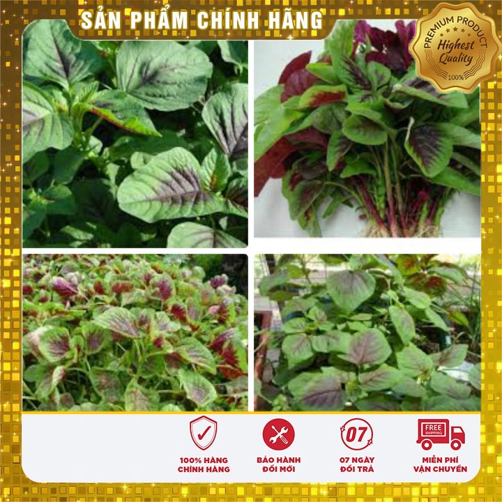 Hạt Giống Rau Dền Khoang(50gr)