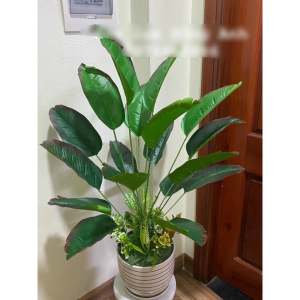 Cây giả/ Cây lá rùa cảnh 18 lá to cao 76 cm loại 1 decor siêu đẹp