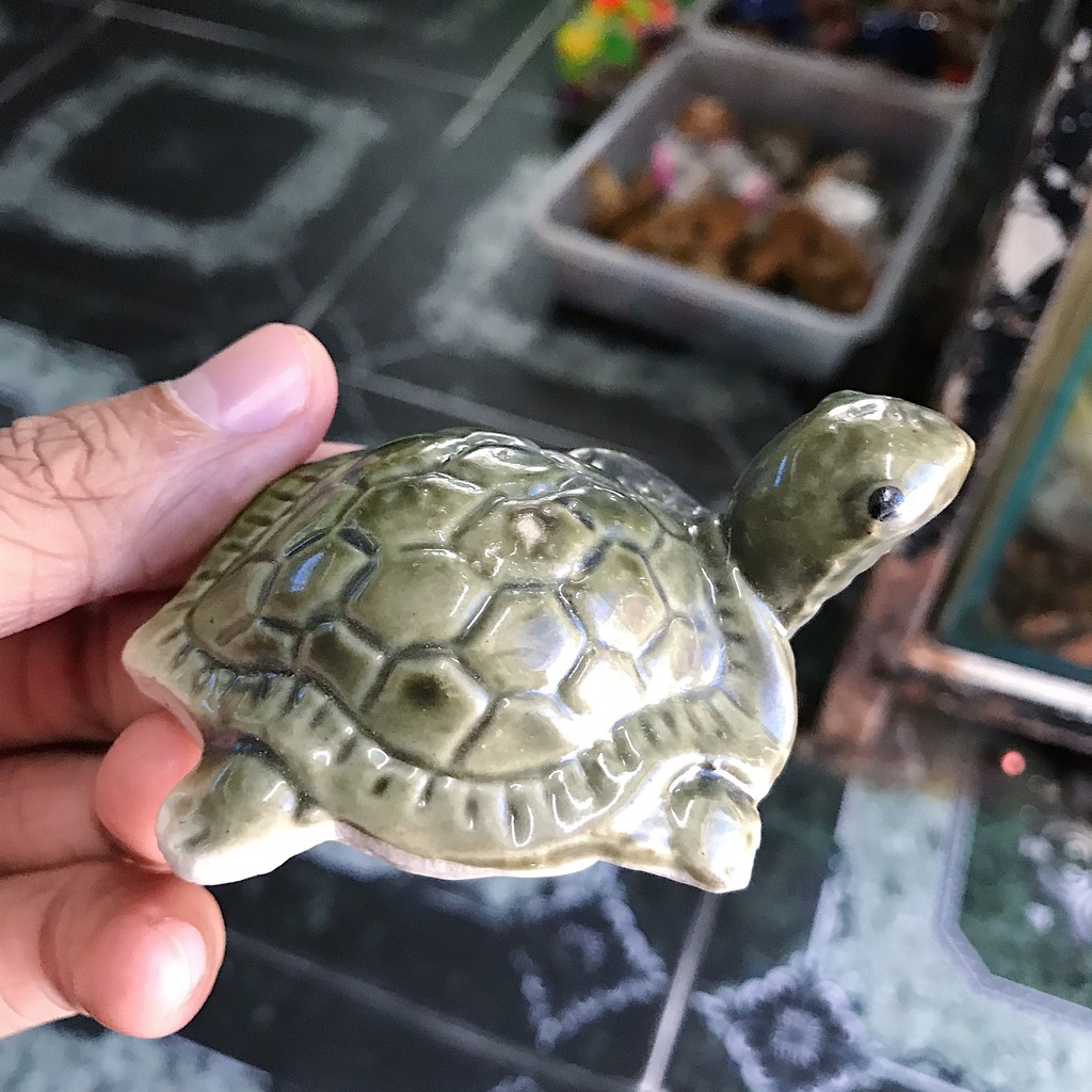 RÙA TRANG TRÍ HỒ CÁ NON BỘ DÀI 25CM CAO 4CM