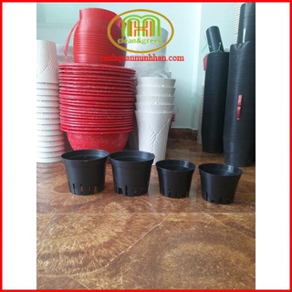Combo 10 chậu nhựa đen trồng lan phi 12