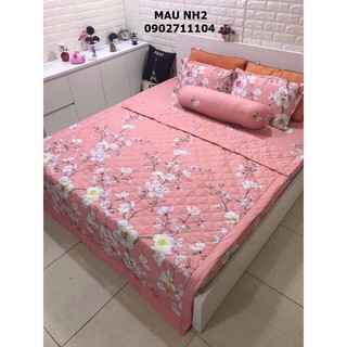 Bộ ga giường cotton