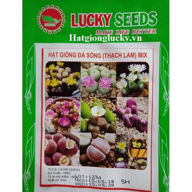 Hạt Giống Thạch Lan- LUCKY SEED. Mỗi Túi 5 Hạt.