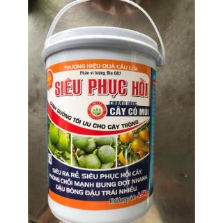 Siêu phục hồi