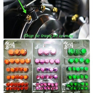 Chụp ốc trang trí xe máy ( 1 vỉ -30 cái )