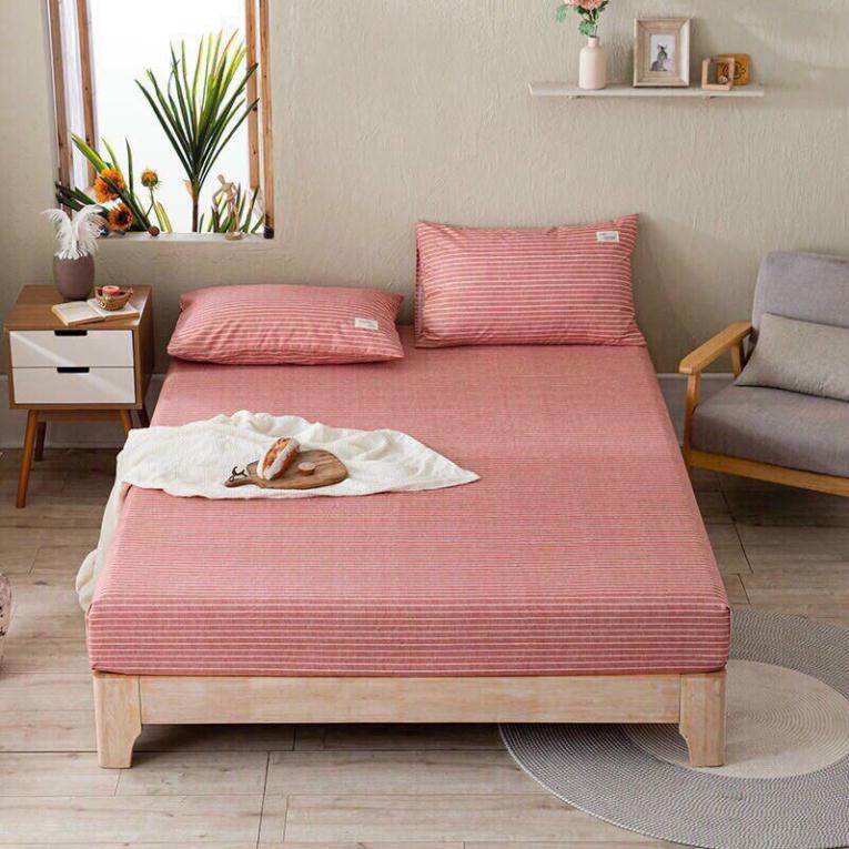 Set ga gối cotton tici kẻ _ ga gối Hàn Quốc đủ size đủ màu miễn phí bo chun