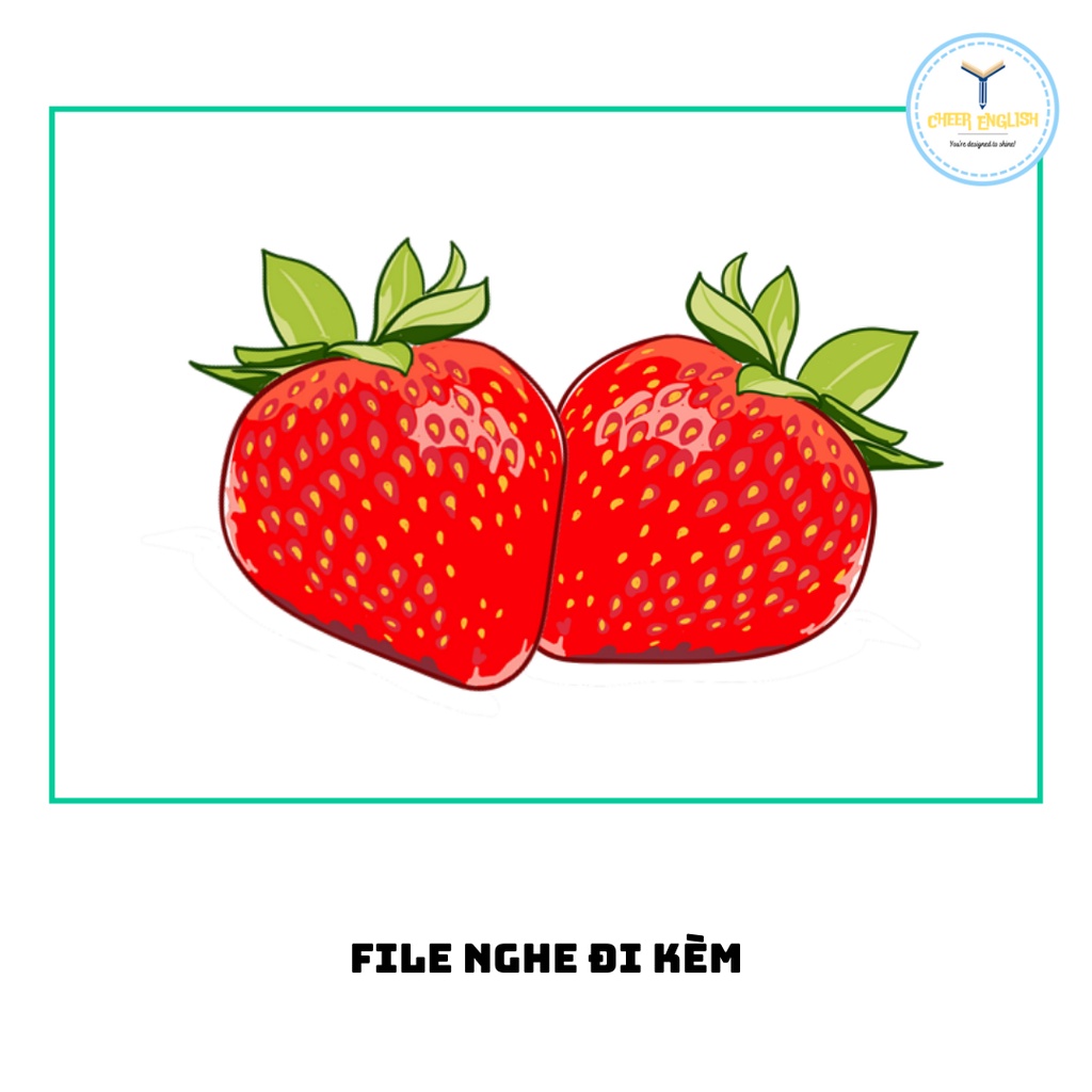 Flashcard chủ đề trái cây thẻ học từ vựng Tiếng Anh chủ đề trái cây ép plastic