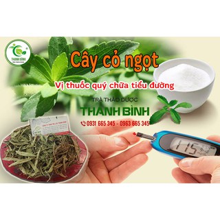 Cây Cỏ Ngọt 1kg