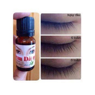 TINH DẦU DÀI VÀ DÀY MI MAROC