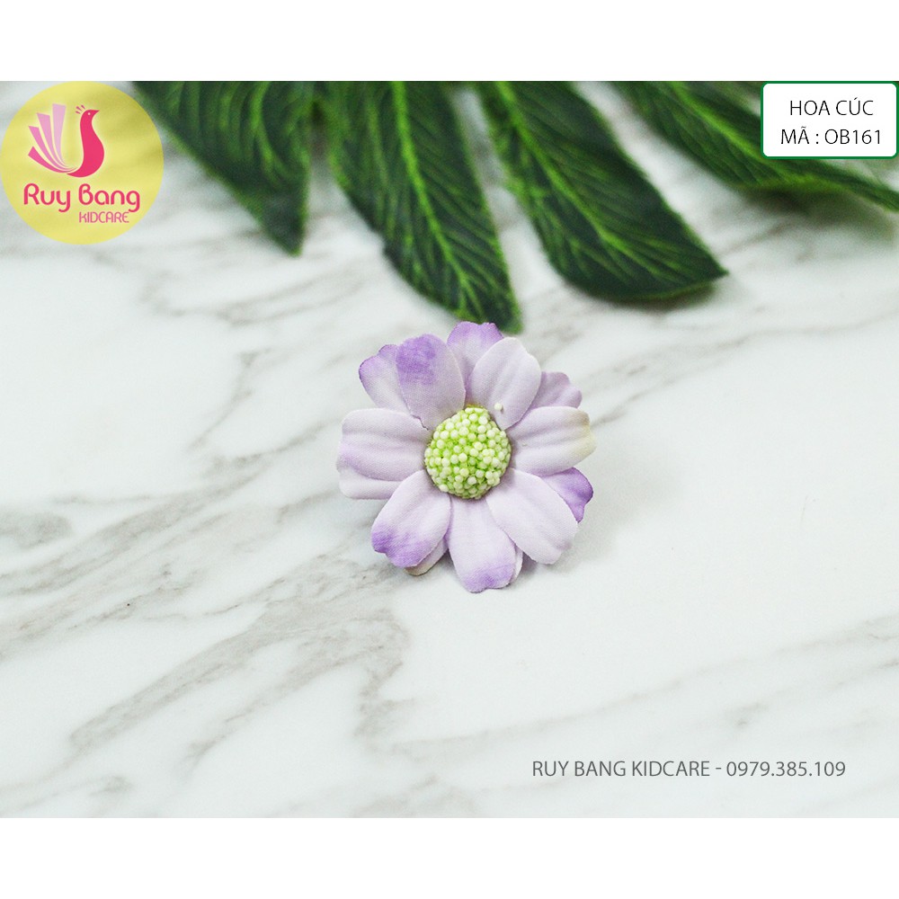 Hoa cúc mã 0B161 ( gói 5 bông)