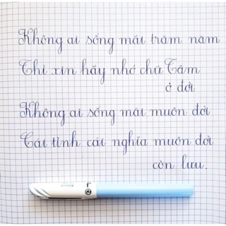 Bút Mài Thầy Ánh SH 058 Ngòi Kim Tinh Lá Tre - ConyPen, liên hệ shop để đc htro ship cao nhất