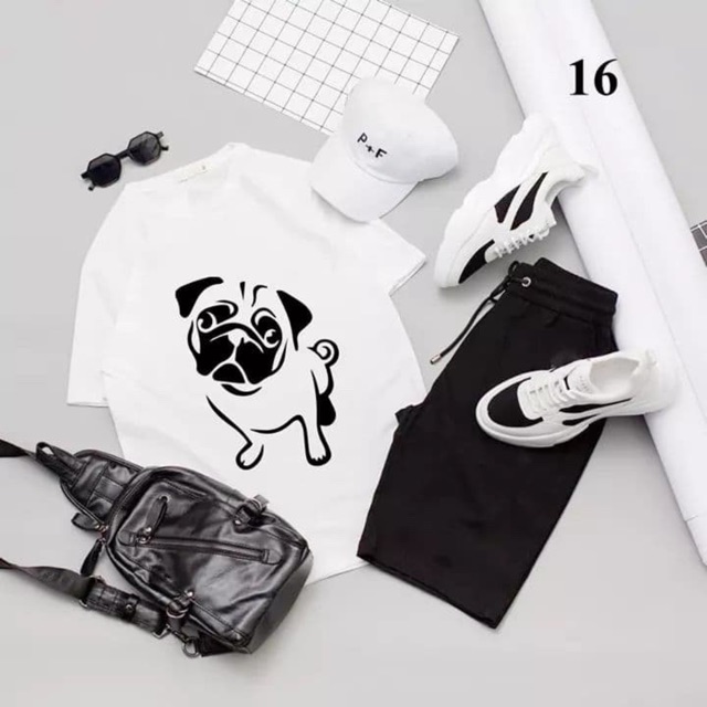 ALBUM 873 - ÁO THUN UNISEX BULLDOG NHIỀU MÀU