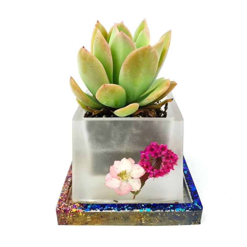 Khuôn Silicone Làm Chậu Cây Sen Đá Hình Tròn DIY