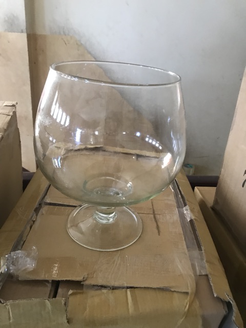 BỂ CÁ CHẬU CÂY THỦY TINH CÓ CHÂN  DK26cm X H30cm- LCĐ