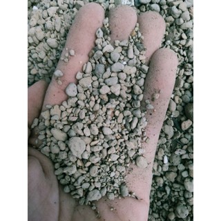 5KG đá bọt Pumice trồng sen đá, cây kiểng, sen mông size 1-2mm, 1-3mm và 3-6mm