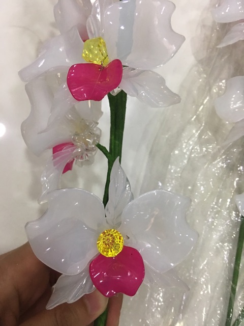 Cánh cong làm hoa lan ( hình minh hoạ)