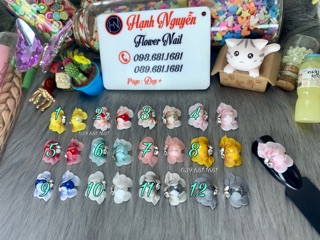 Set 2 Hoa Bột - Hoa cúc Ngọc