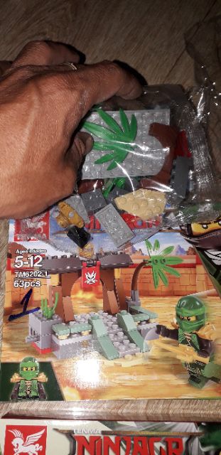 Lắp ráp Ngôi Đền Ninjago 6202