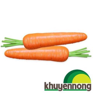 Gói 300 hạt giống cà rốt đỏ